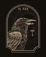 Illustration of gothic raven biting the key on black background vector