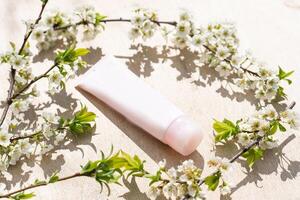 Blank white cosmetics tube and spring flowering tree branch with white flowers on pastel background. Front view photo