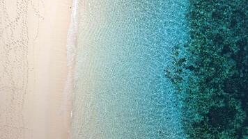 Blue salty water in tropical sea and sandy beach, Drone view, top down video