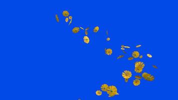3D yellow flower rotating turbulently on a blue background. CGI effects simulate natural objects blown by the wind video