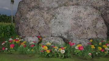 3D garden with large stone arrangements and colorful flowers, shown with dynamic rotating camera shots video