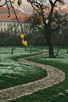 Winding Path That Leads Through a Beautiful Misty Landscape Abundant in Nature photo