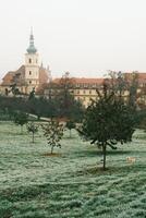Tranquil Reflections in a Beautiful Historical Park Filled with Nature in Prague photo