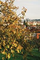 Autumn Scene in center of Prague with Colorful Foliage Overlooking a Scenic photo