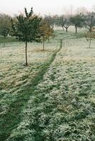 Frosty Morning Trail located in a beautiful Park offers a refreshing experience photo