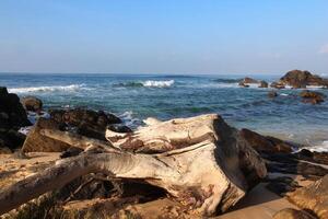 Picturesque coastal view with sandy beach surrounded by rocks and soft ocean waves under clear blue sky. Perfect for nature, travel or relaxation themes photo