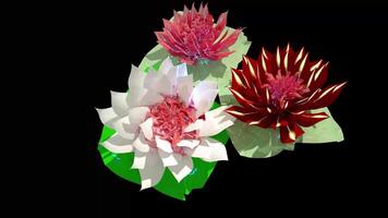 Waterlily Botanical Flower 3D Rendering video