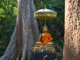 A serene golden Buddha statue in a forest setting with tall trees in the background. photo
