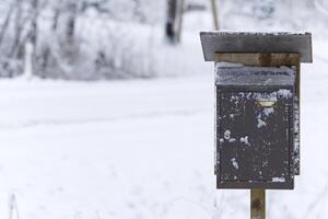 A birdhouse is covered in snow photo
