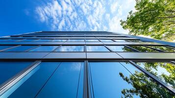 Trees and sky enhancing the view of a modern glass building photo