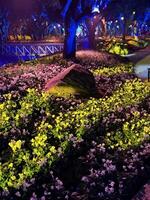 A park with flowers and trees lit up at night photo