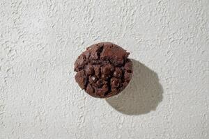 a chocolate cookie on a white wall photo