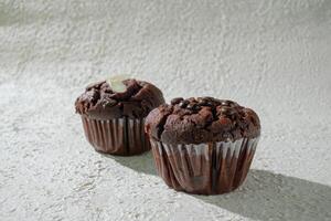 two chocolate muffins sitting on a white wall background photo