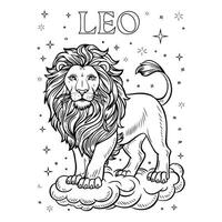 The Lion King of the Jungle vector