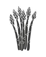 Asparagus silhouette, stylized sketch, isolated on white background. vector
