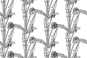 Black and white botanical abstract seamless pattern with dandelion flowers illustration. Repeating line art floral print. Graphic design for Wedding invitation Cover Wrapping pack Greeting card vector