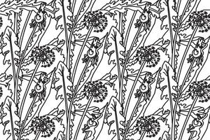 Black and white botanic abstract seamless pattern with dandelion flowers illustration. Repeating line art floral print. Graphic design for Wedding invitation Cover Wrapping pack Greeting card vector