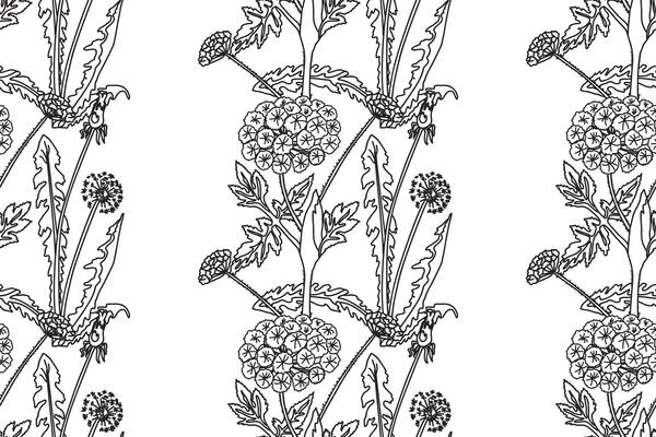Black white botanical abstract seamless pattern with wildflowers illustration. Repeating line art floral print. Graphic design for Wedding Greeting invitation Cover Wrapping pack Textile