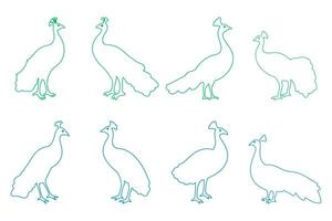Outline Peacock Bird Illustration Design Set vector