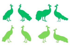 Simple Peacock Bird Illustration Design Set vector