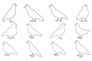 Outline Simple Pigeon Bird Illustration Design Set vector