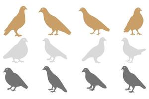 Simple Pigeon Bird Illustration Design Set vector