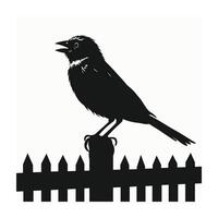 Captivating Bird Silhouettes in Illustration vector