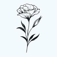Lisianthus flower leaf hand drawn design, flowers, buds, leaves and stems in engraving style. Hand drawn realistic open and unblown buds. Decorative elements for, greeting card, wedding invitation. vector