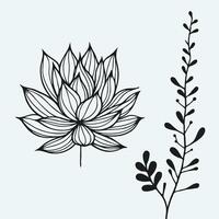 flower branch coloring page pencil line art illustration, set of decorative elements of plants vector