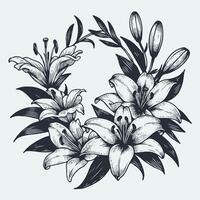 Decorative element with outline lilies sketch, lily flower, Outline floral wreath of flowers, elegant floral frame, Floral background in line art. vector