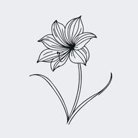 Hand Drawn Flowers Branch of Lilies on a white background. Isolated illustration lily in line art style. Template card, invitation, banner, tattoo, design element. vector