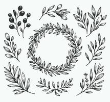 Collection of Outline Wild Flowers. Laurel Motif, wreath symbol. A wreath with a green leaves and a symbol for the winner of the contest. A wreath with the words olives on it vector