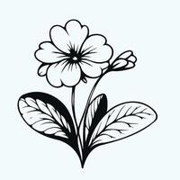 hand drawn pansy, Wittrock violet, bindweed flower. Black and white background, set of contour flower, floral line art of mountain violet vector