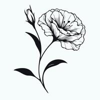 Black and white flower on a white background, bouquet of lisianthus flowers, eustoma, Flowers line drawing. Flower drawn vector