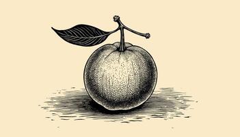 Intricate linework orange illustration in a vintage engraving style, rendered in black and sepia vector