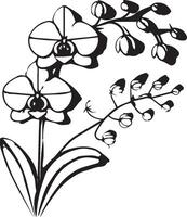 Beautiful botanical floral pattern illustration for coloring book or page, Orchid narcissus flower sketch art hand drawn bouquet of floral isolated on white background, flower cluster drawing vector