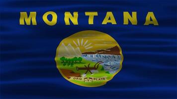 The looping of realistic Montana waving flag. Montana background. USA background video