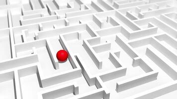 Red ball looking for the exit of a white square maze. Loop sequence. 3D Animation video
