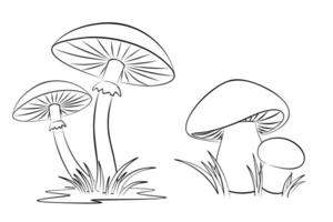 A sketch of forest mushrooms with a grass. vector