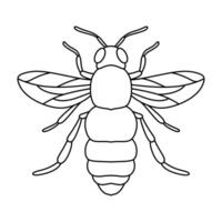 bees illustration. hand drawn bee in black and white illustration vector