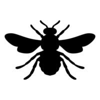 honey bee for honey product package and logotypes. vector