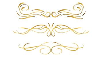 gold swirl lines set isolated on white background. text divider and frame decoration vector