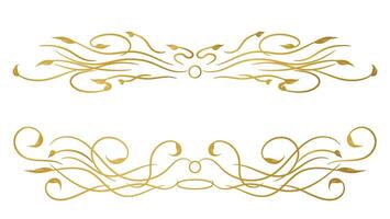gold calligraphy line isolated on white background. text divider element and art frame decoration vector
