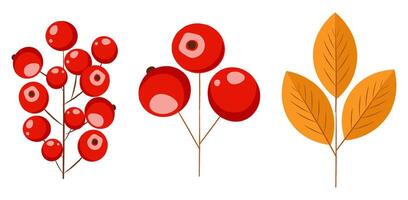 Hello autumn, autumn leaves, red berries and mushrooms flat, colored leaves isolated set, illustration vector