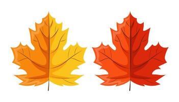Hello autumn, autumn leaves, red berries and mushrooms flat, colored leaves isolated collection vector