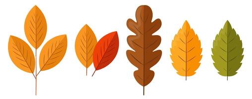 Hello autumn, autumn leaves, red berries and mushrooms flat, colored leaves isolated set, autumn items vector