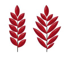 Hello autumn, autumn leaves vector