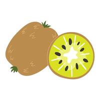 Whole Kiwi and Sliced Kiwi Showing Green Flesh and Seeds vector