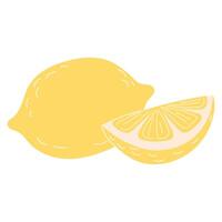 Whole Lemon with a Slice Showing Yellow Flesh vector