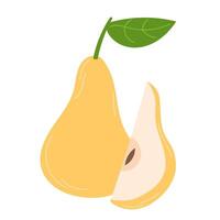 Ripe Pear with a Slice Showing Juicy Inner Flesh vector